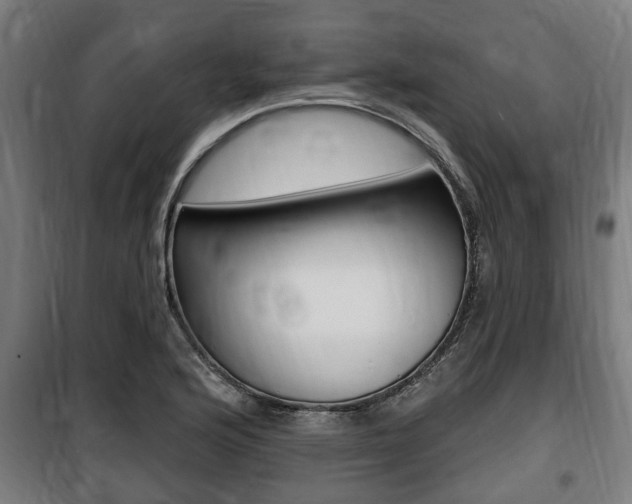 X0000100841176200806200731