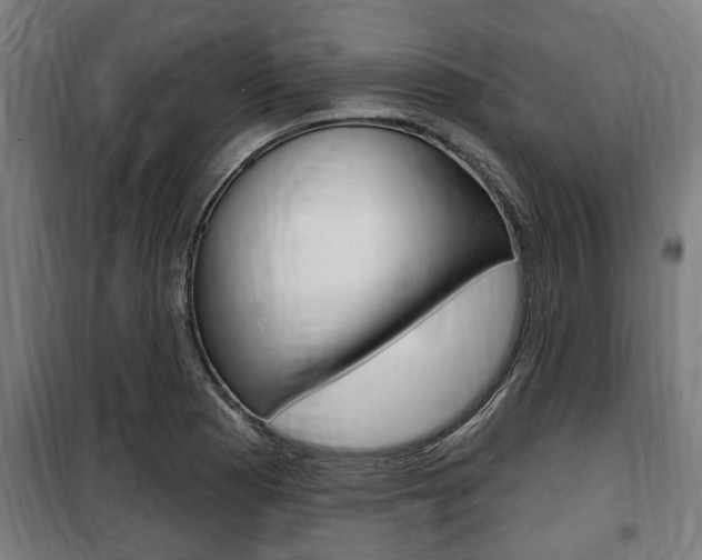 X0000100841177200806200731