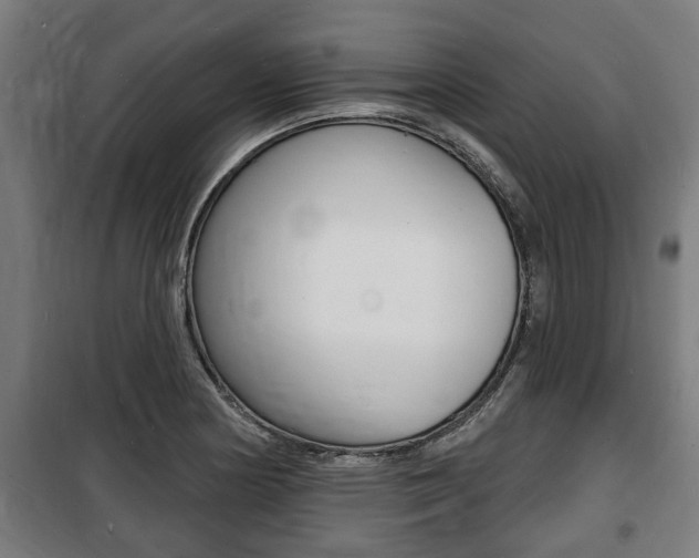 X0000100841178200806200731