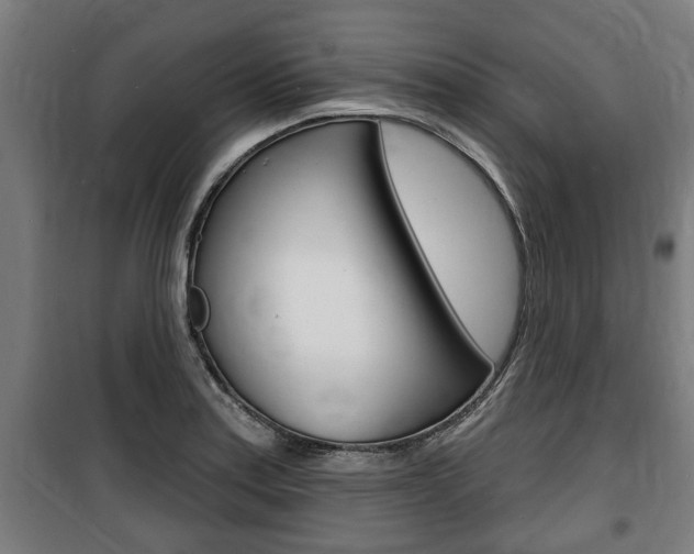 X0000100841179200806200731