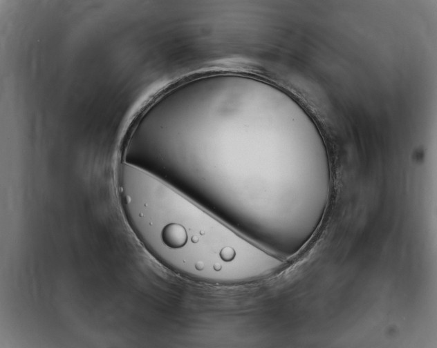 X0000100841180200806200731