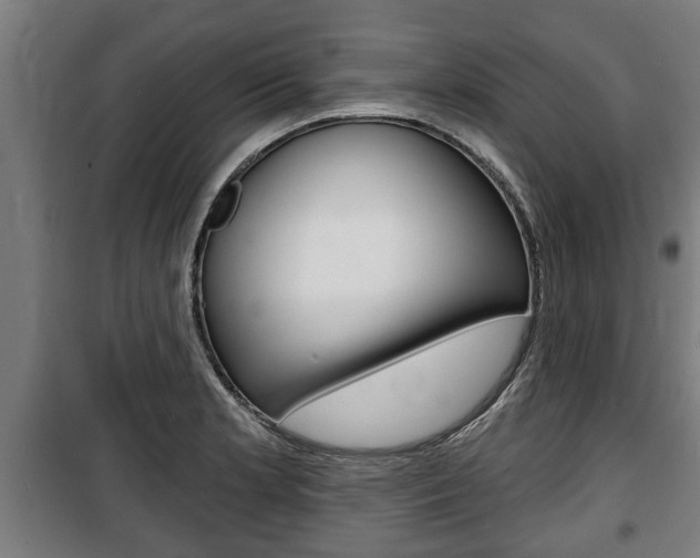 X0000100841181200806200731