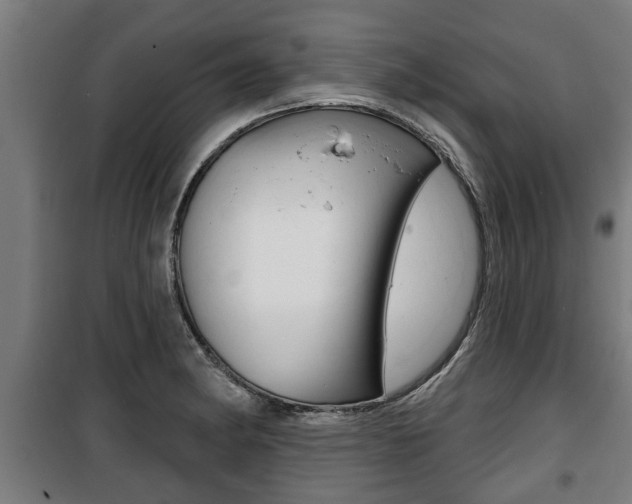 X0000100841182200806200731