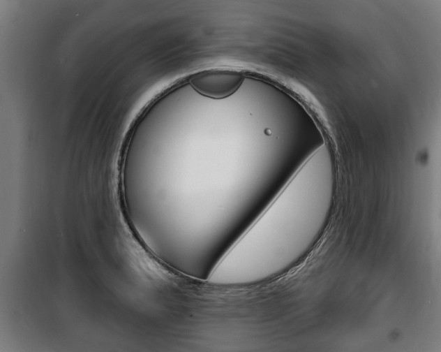 X0000100841183200806200731