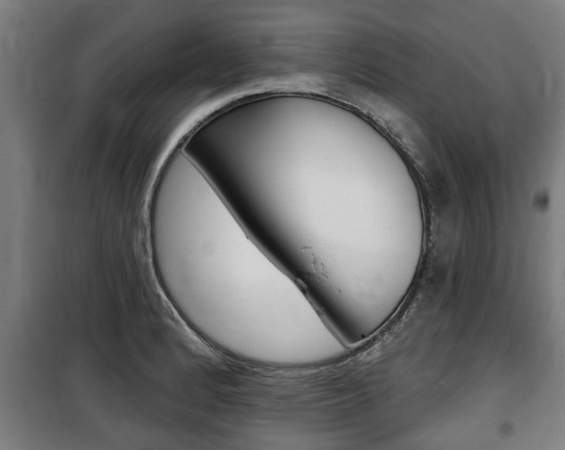 X0000100841184200806200731