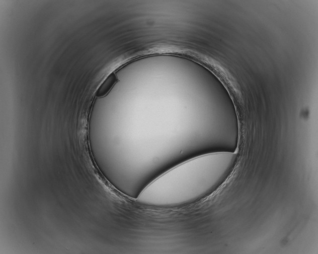 X0000100841185200806200731