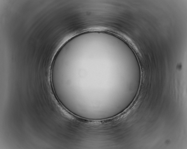 X0000100841186200806200731