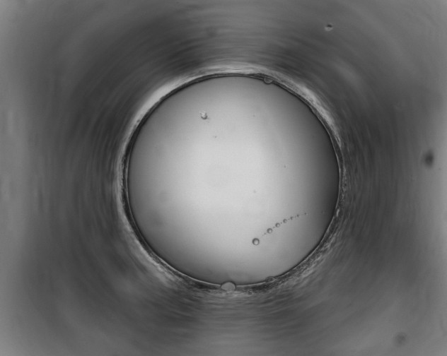 X0000100841187200806200731