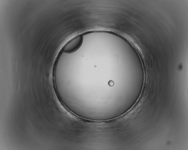 X0000100841189200806200731