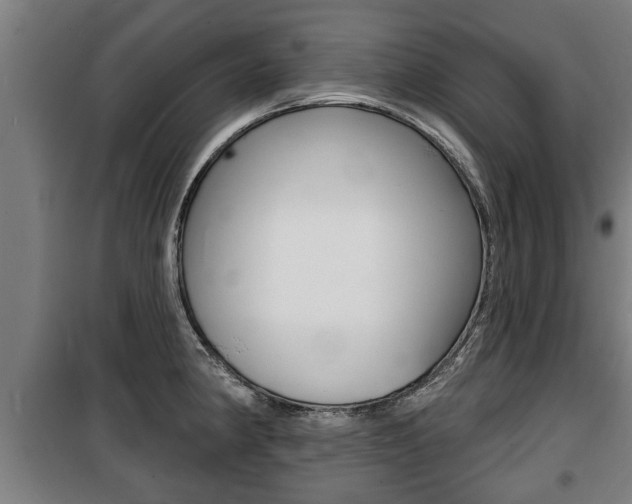 X0000100841190200806200731