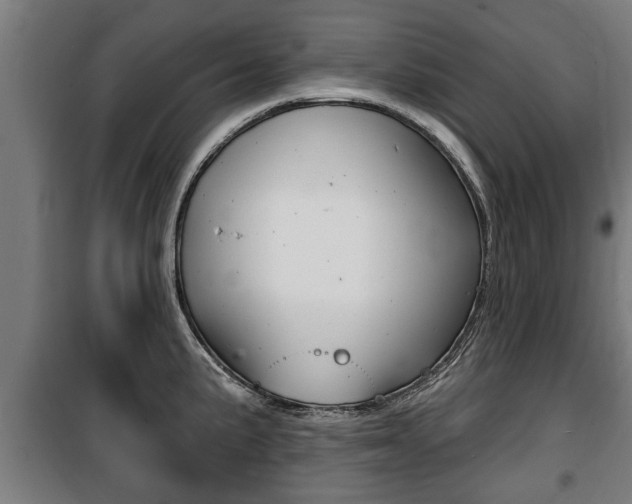 X0000100841191200806200731