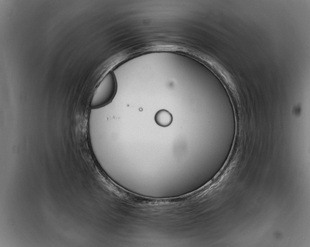 X0000100841193200806200730