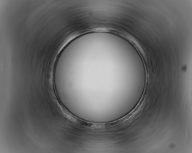 X0000100841194200806200730