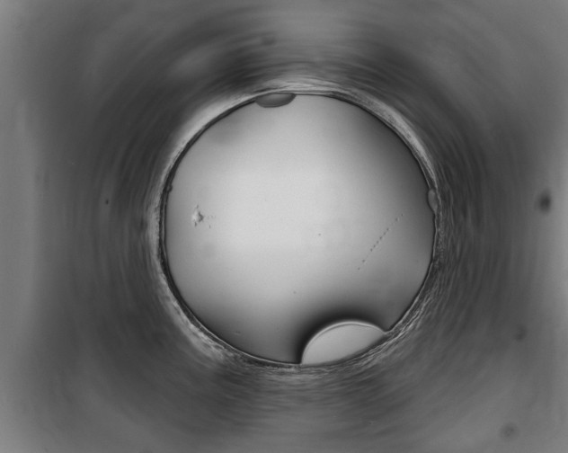 X0000100841195200806200730