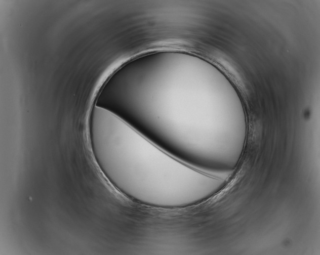 X0000100841196200806200730