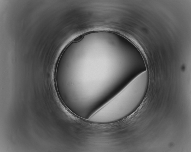 X0000100841197200806200730