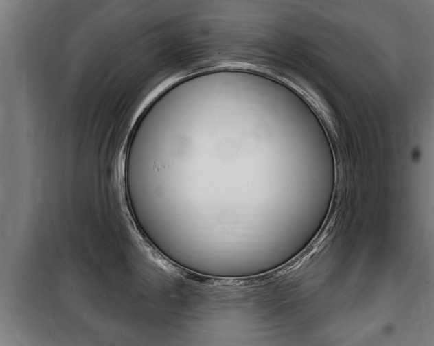 X0000100841198200806200730