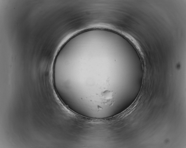 X0000100841199200806200730