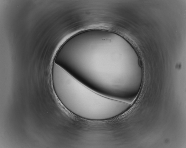 X0000100841200200806200730