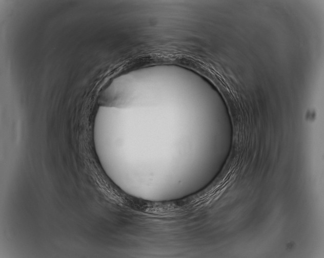 X0000100841201200806200730