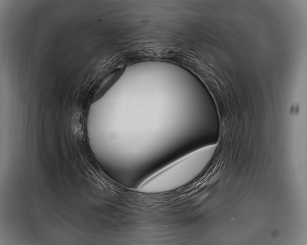 X0000100841202200806200730