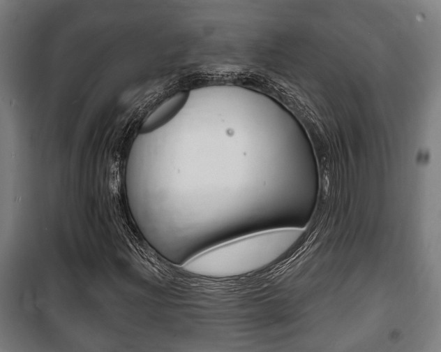 X0000100841204200806200730