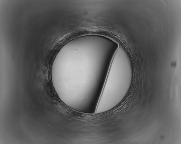 X0000100841205200806200730