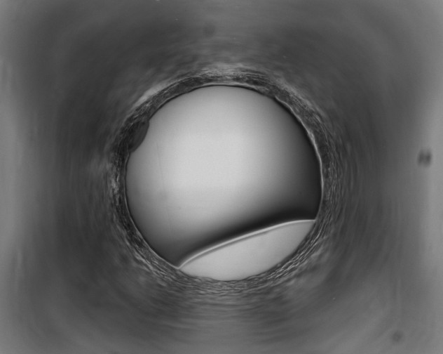 X0000100841206200806200730