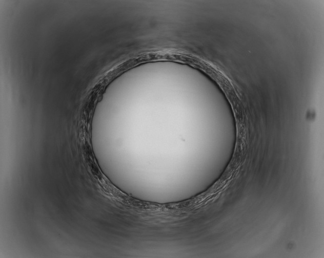 X0000100841207200806200730