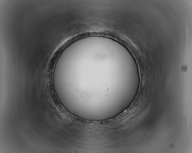 X0000100841208200806200730