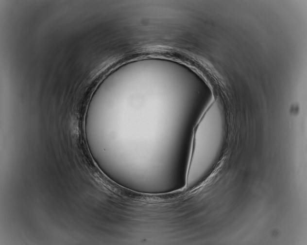 X0000100841209200806200730