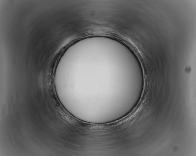 X0000100841211200806200730