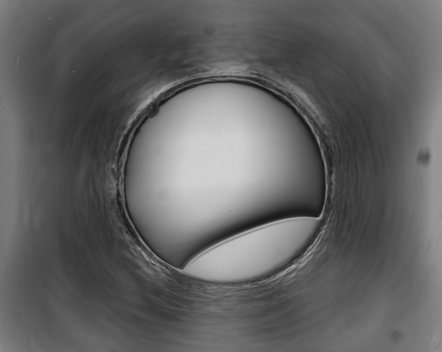 X0000100841212200806200730