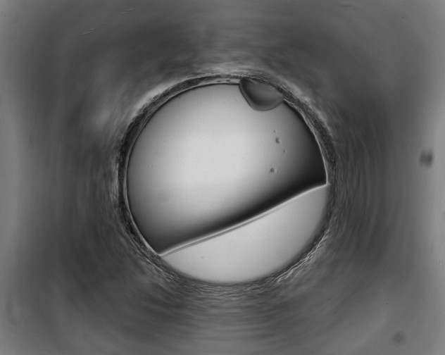 X0000100841214200806200730