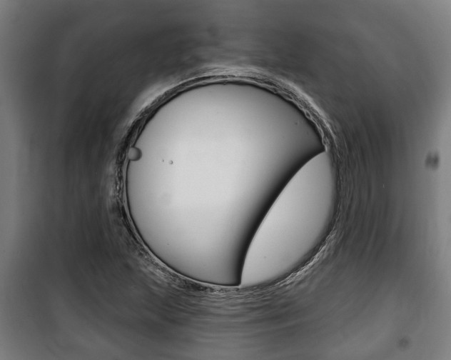 X0000100841215200806200730