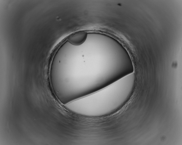 X0000100841216200806200730