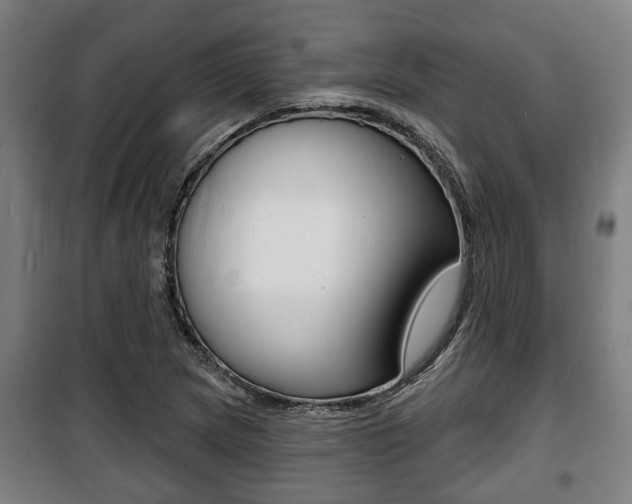 X0000100841217200806200730