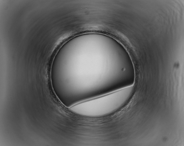 X0000100841218200806200730