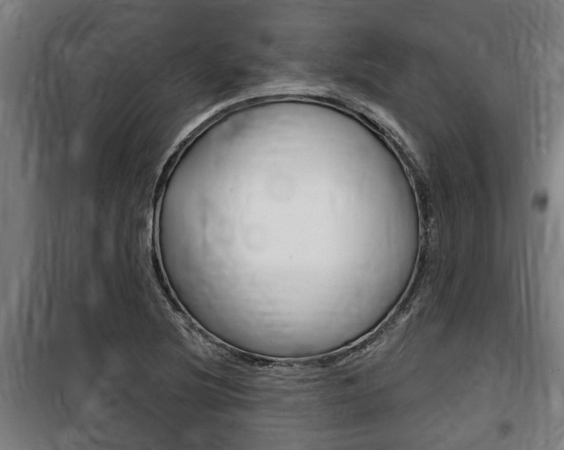 X0000100841220200806200730