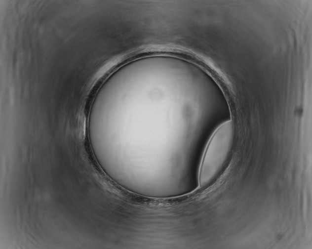 X0000100841221200806200730