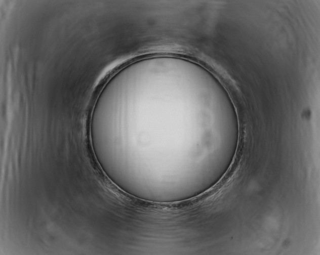 X0000100841222200806200730