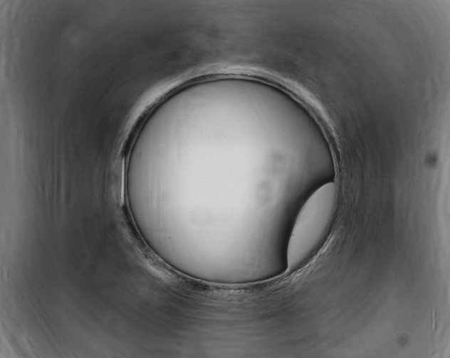 X0000100841223200806200730