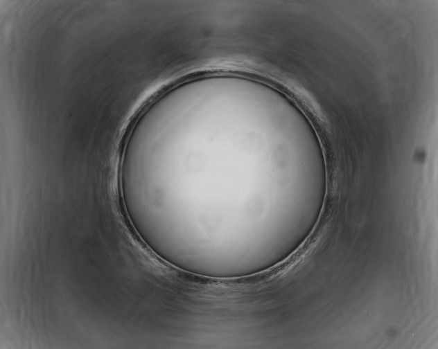 X0000100841224200806200730