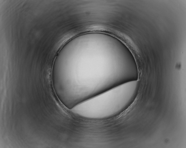 X0000100841225200806200730