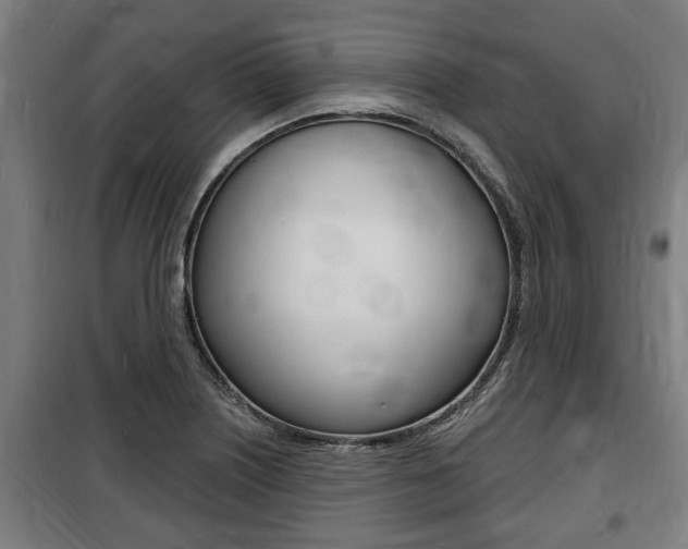 X0000100841226200806200730