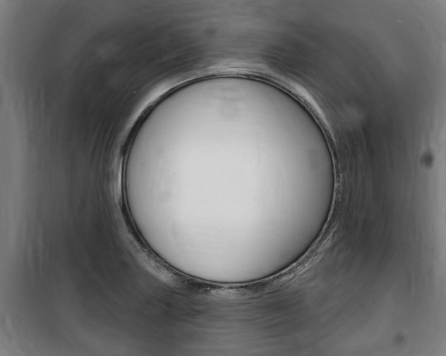 X0000100841227200806200730