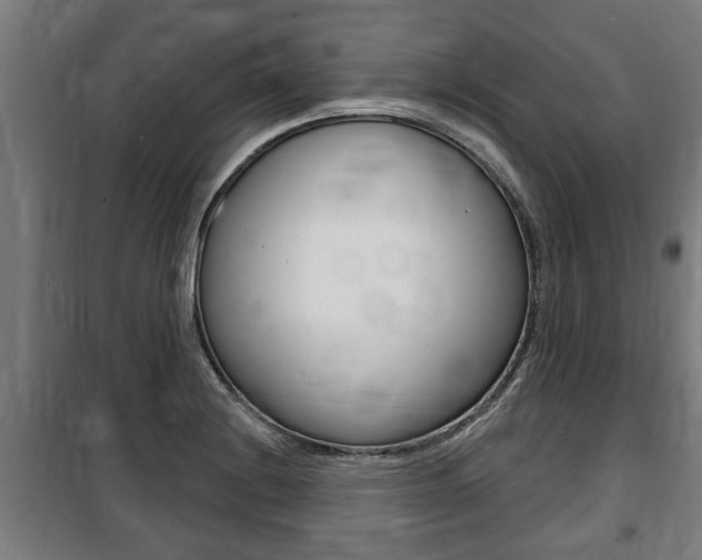 X0000100841228200806200730