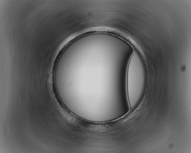 X0000100841229200806200730