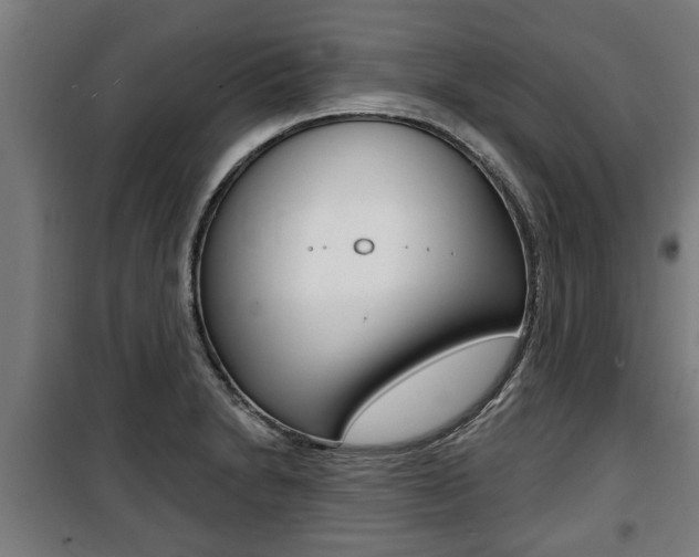 X0000100841230200806200730