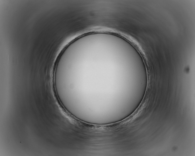 X0000100841231200806200730